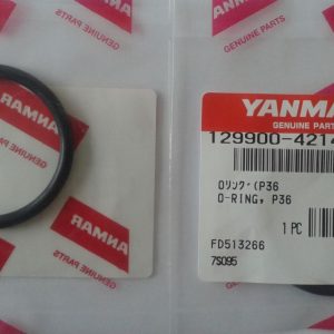 O-ring P36